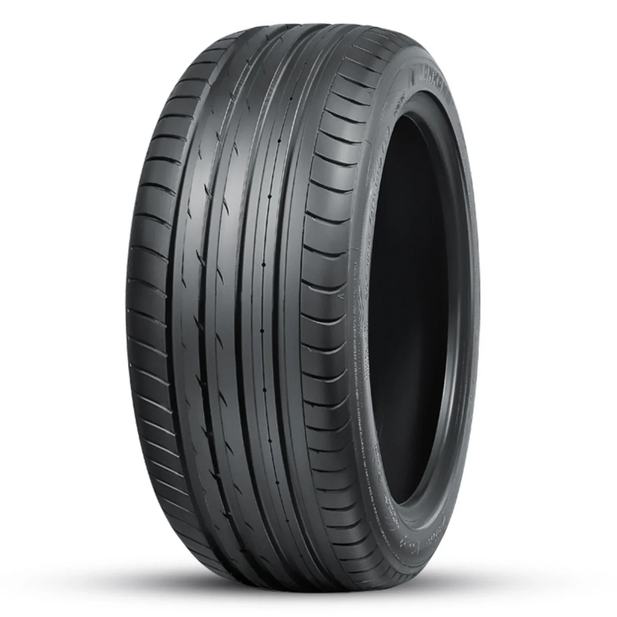 295/25R20 NANKANG AS2+ 95Y XL