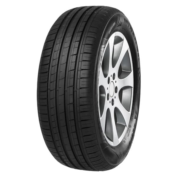 205/60R15 MINERVA F209 91H
